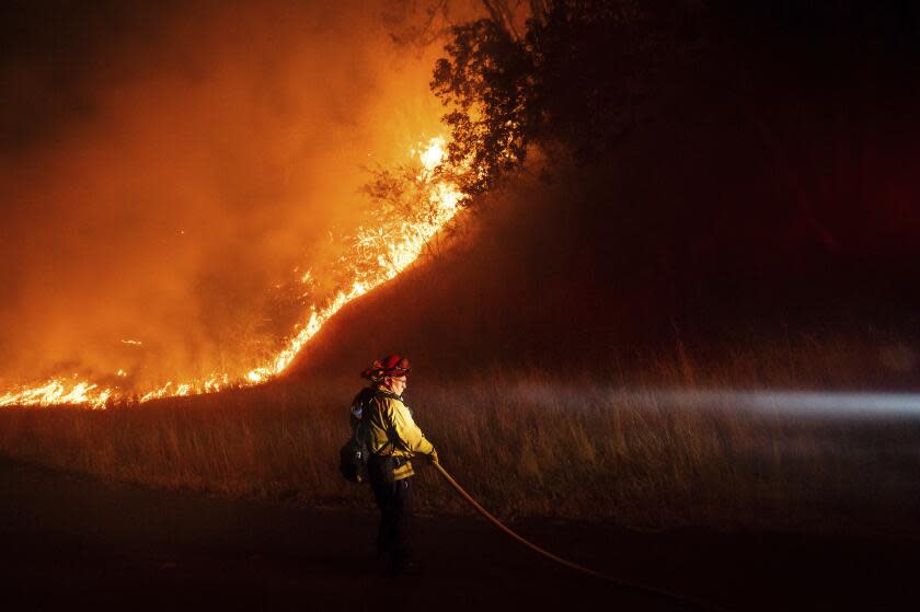 A firefighter carries a hose while battling the Point Fire along West Dry Creek Rd. in Healdsburg, Calif. on Sunday, June 16, 2024. (AP Photo/Noah Berger)