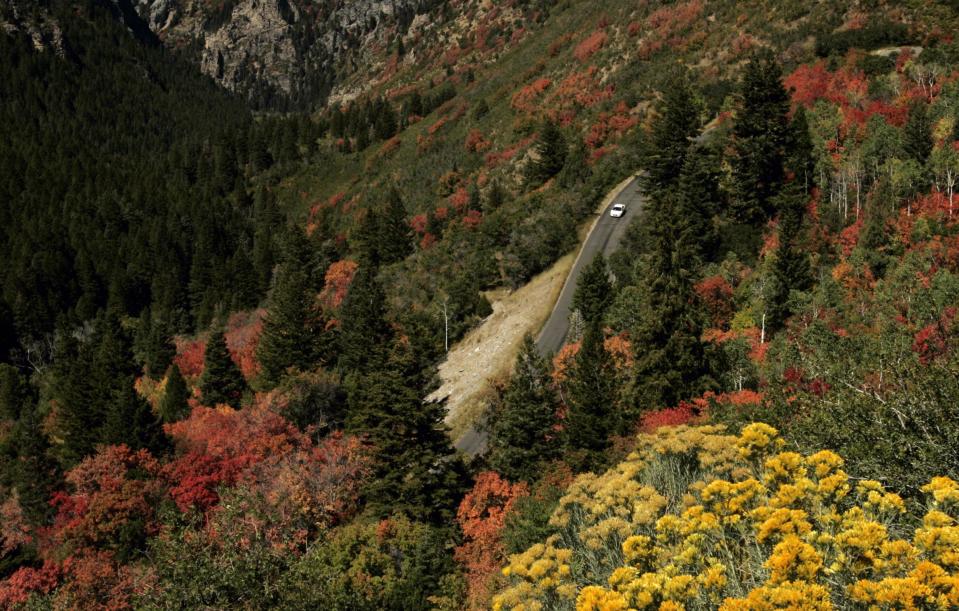 A car cruises through the fall colors that decorate American Fork Canyon along the Alpine Loop Tuesday, Sept. 7, 2004. | Jason Olson, Deseret News