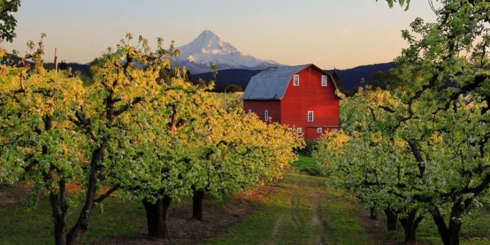 best small towns in oregon