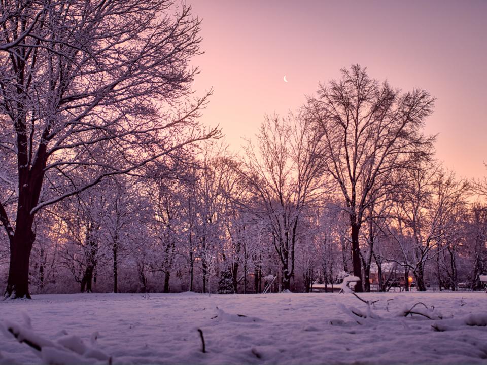 Winter in Indiana.