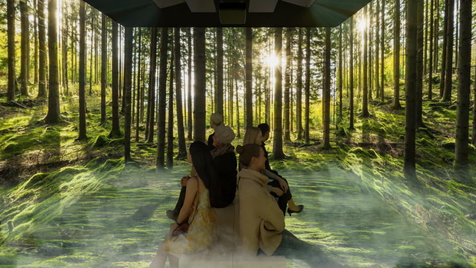 A first look at the immersive experience, a 4D re-creation of a Japanese forest.