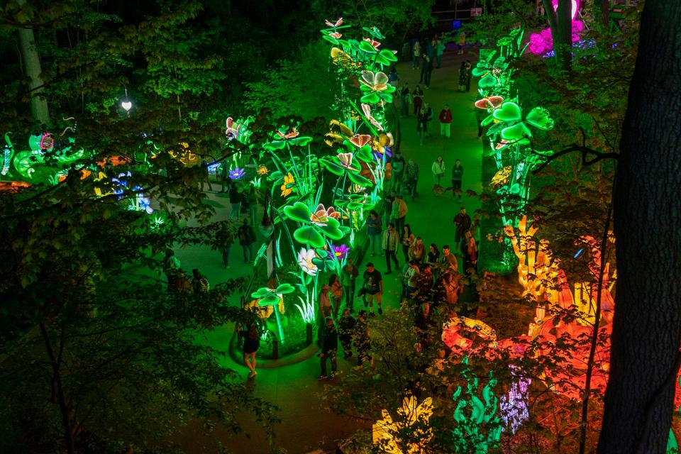 Patrons make their way through the 1-mile trail of lanterns during the Grand Rapids Lantern Festival at the John Ball Zoo on Wednesday, May 8, 2024.