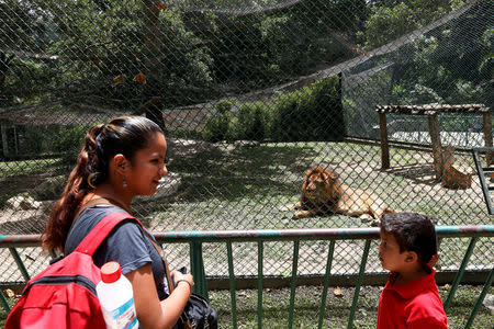 Visitors stand next to a lion cage at the Caricuao Zoo in Caracas, Venezuela July 12, 2016. REUTERS/Carlos Jasso