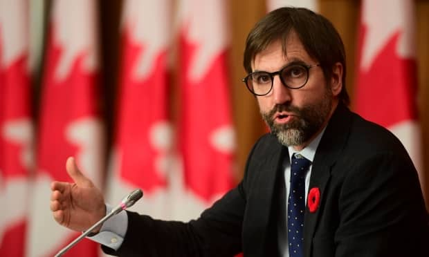 Minister of Canadian Heritage Steven Guilbeault holds a press conference in Ottawa on Tuesday, Nov. 3, 2020. (Sean Kilpatrick/The Canadian Press - image credit)