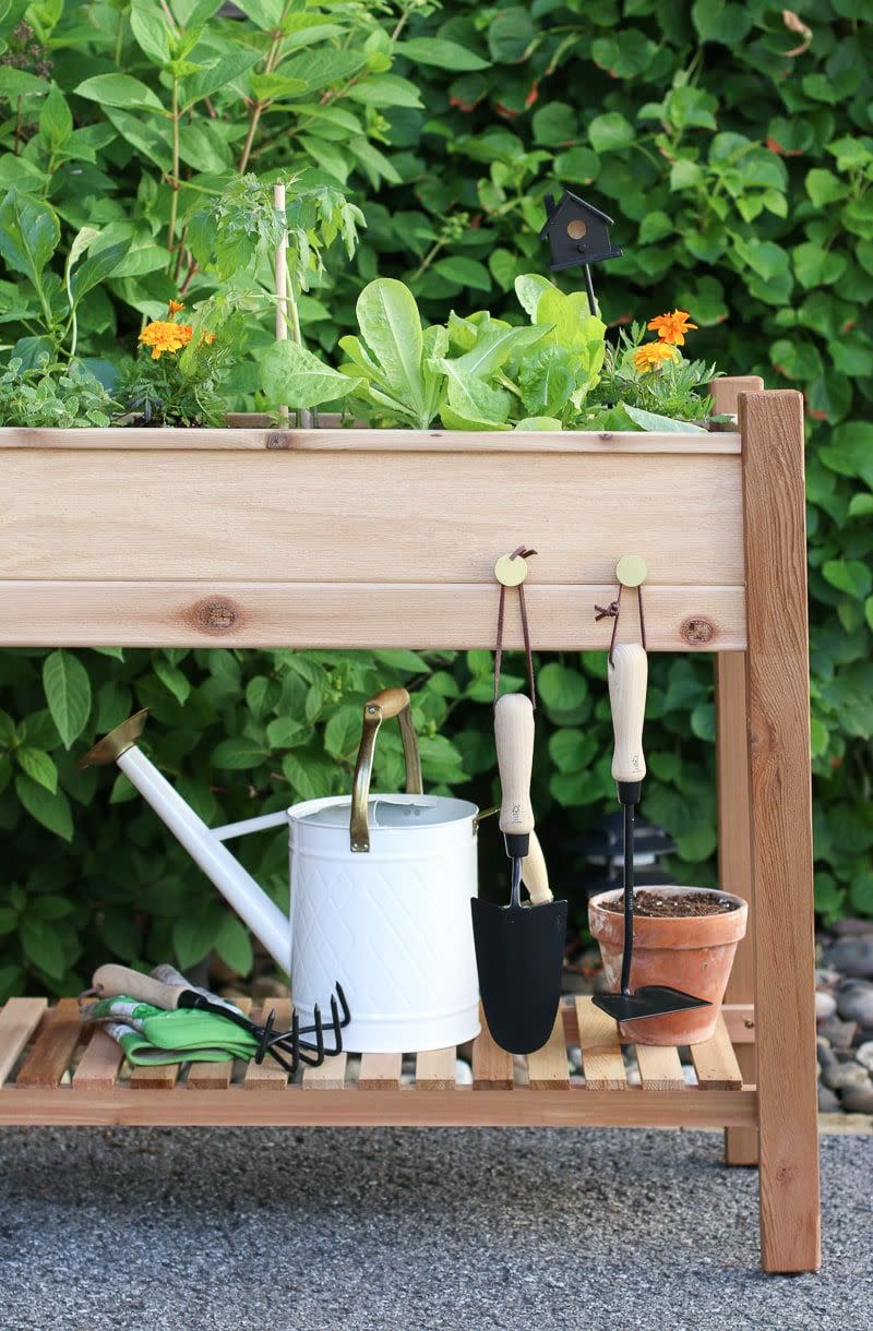 raised bed ideas gold knobs