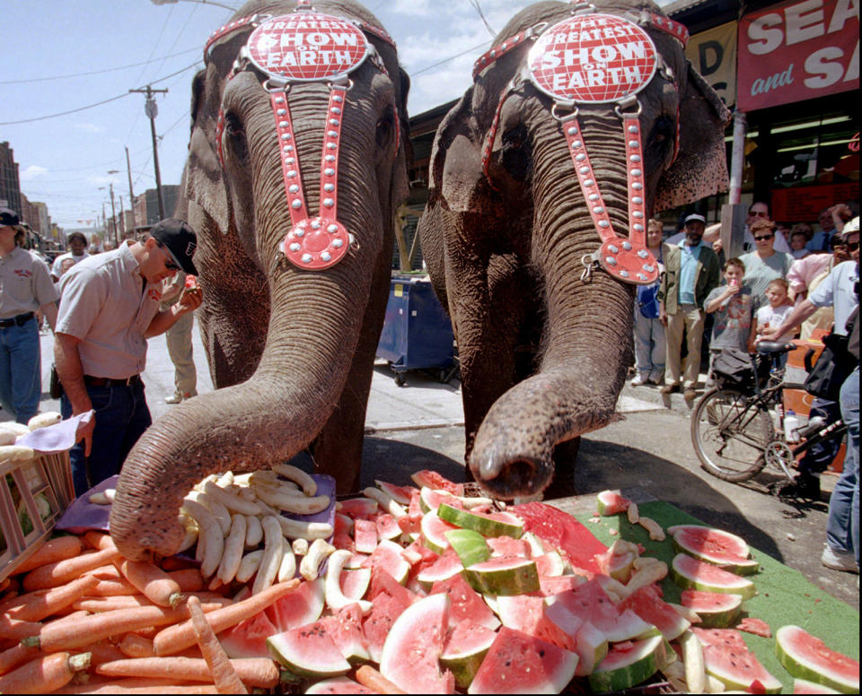 The Greatest Show on Earth to close after 146 years