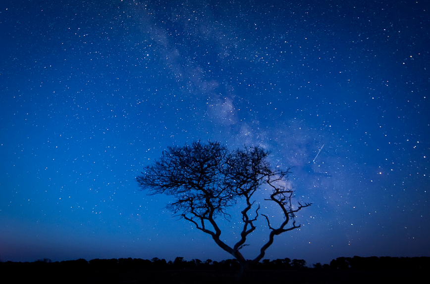 A Lyrid meteor crosses the night skies over Nantucket, Mass. (Copyright <a href="http://www.nasa.gov/connect/chat/lyrids2012_chat.html" rel="nofollow noopener" target="_blank" data-ylk="slk:Greg Hinson;elm:context_link;itc:0;sec:content-canvas" class="link ">Greg Hinson</a>. All rights reserved, used with permission.)