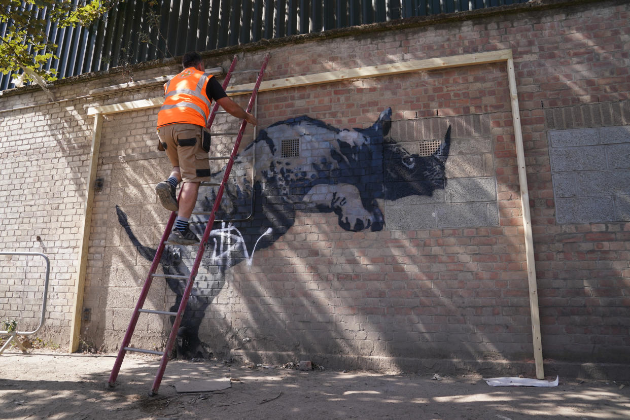 A worker on a ladder starts setting up a protective cover over the now defaced artwork unveiled by Banksy, depicting a rhinoceros which looked as though it was climbing on top of a car, which has since been removed. This is the eighth artwork in his animal-themed collection, on Westmoor Street in Charlton, south east London. Picture date: Tuesday August 13, 2024. (Photo by Lucy North/PA Images via Getty Images)