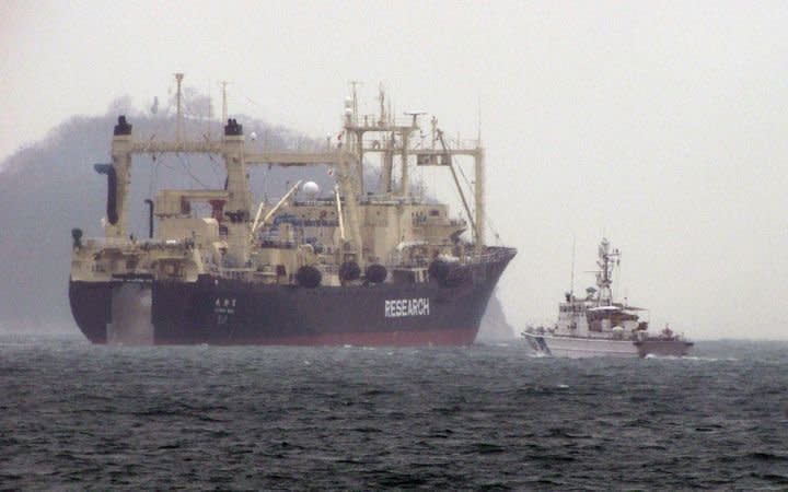 圖為日本捕鯨船。(資料照片/AFP)