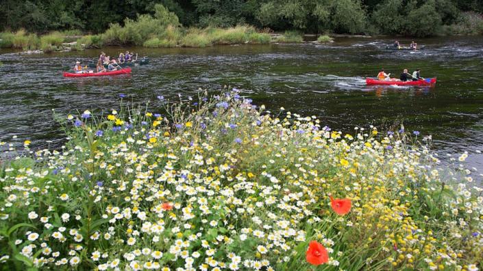 Canoës sur la rivière Wye