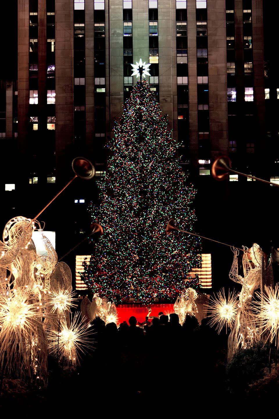 christmas tree at rockefeller center