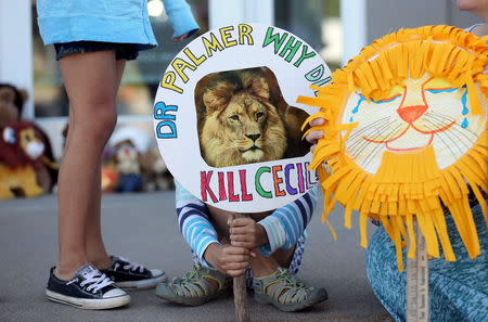 Piper Hoppe, 10, from Minnetonka, Minnesota, holds a sign at the doorway of River Bluff Dental clinic in protest against the killing of a famous lion in Zimbabwe, in Bloomington, Minnesota July 29, 2015. REUTERS/Eric Miller