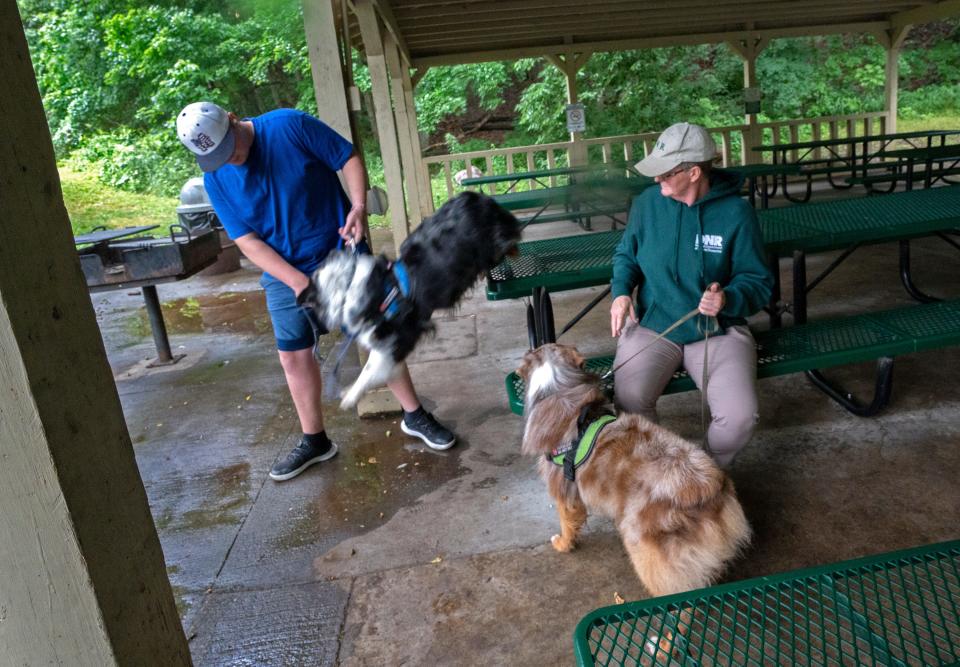 Lucas Bontrager, left, helps his mother, Kallie Bontrager, with Indiana Department of Natural Resources Division of Entomology and Plant Pathology, after she had a training session with her Australian shepherds Que and Epic to find items with the Spotted Lanterfly odor Tuesday, June 13, 2023 at Happy Hollow Park in West Lafayette. The aim of the training is for the dogs eventually to be able to sniff out the Spotted Lanternfly egg masses. The invasive insect has been found in two places in Indiana.