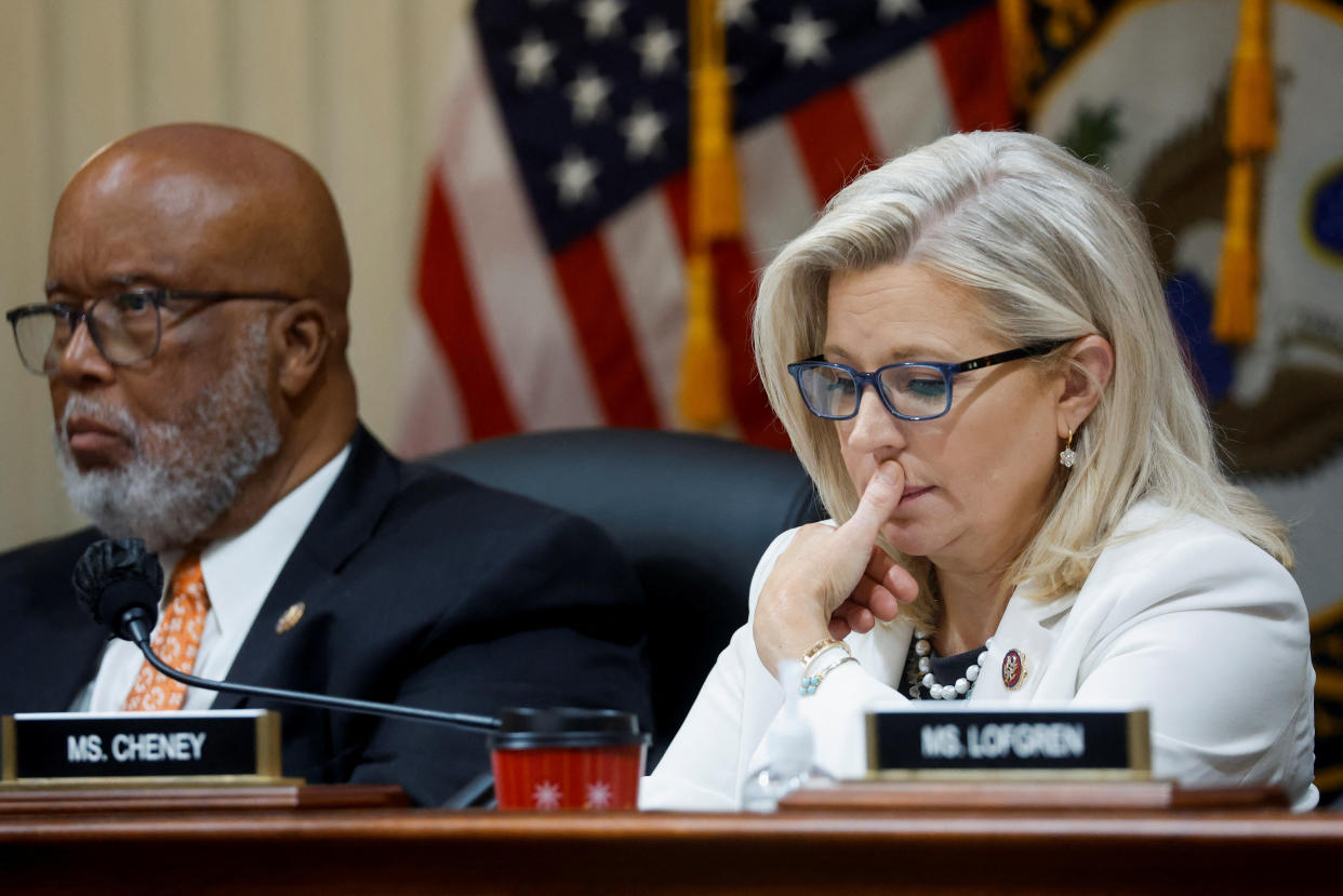 Rep. Liz Cheney wears a doubtful expression, while Rep. Bennie Thompson looks grave.