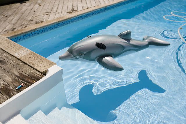 Getty Images Inflatable dolphon in pool