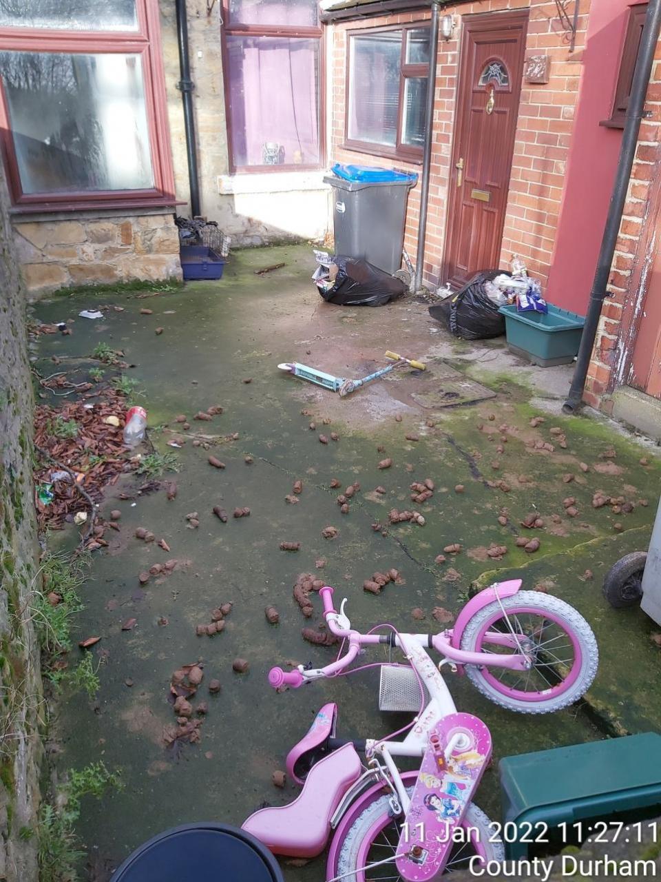 The Northern Echo: El dueño de la casa fue multado con más de £1000 por no limpiar los desechos.  Imagen: CONSEJO DEL CONDADO DE DURHAM
