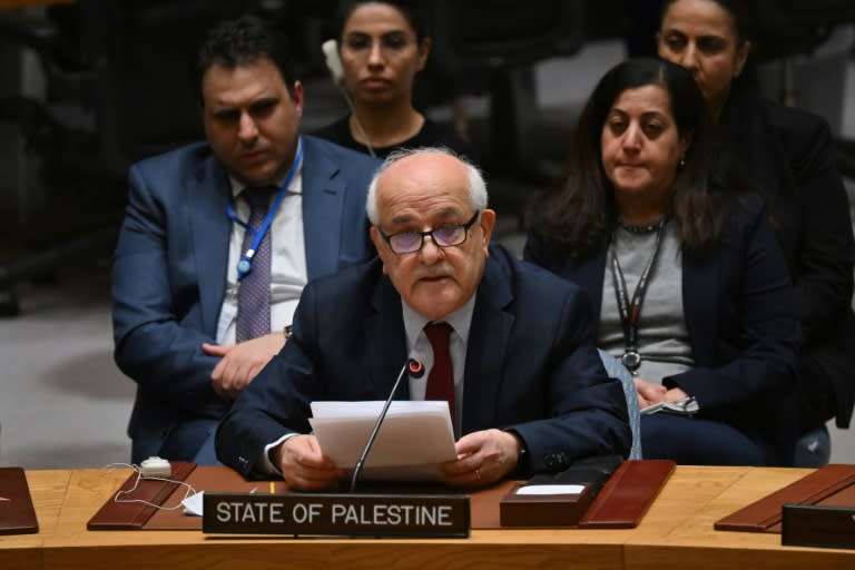 The Palestinians -- who have had observer status at the United Nations since 2012 -- have lobbied for years to gain full membership, which would amount to recognition of Palestinian statehood (ANGELA WEISS)