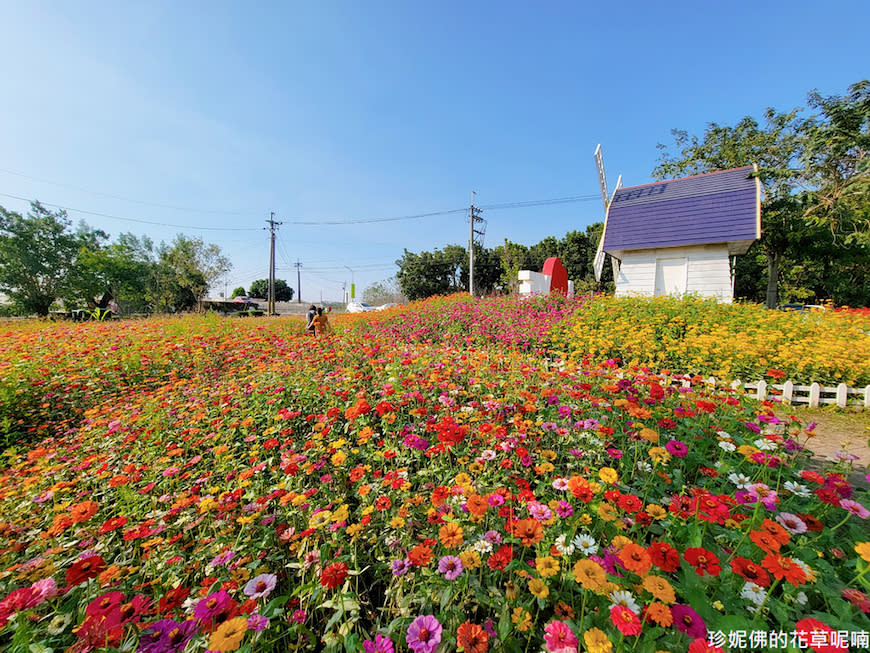 屏東｜新埤鄉綜合休閒公園