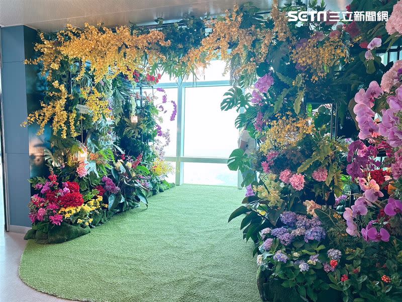 89樓秘境花園觀景台打造《蕨‧蘭之美》雲端花藝展。（圖／記者劉沛妘攝影）