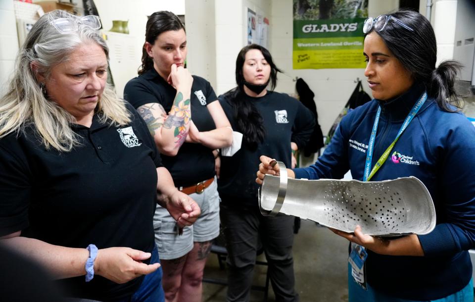 Dr. Meera Kotagal, Cincinnati Children's director of trauma services and pediatric surgeon, right, discusses a 3D- printed titanium cast built by GE Additive with Cincinnati Zoo & Botanical Garden curator of primates Kim Scott, Victoria McGee, manager of primates and Ashley Ashcroft, primates team leader, on April 19.