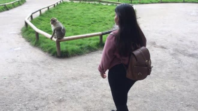 Karima approaches the monkey (Twitter/@xxxxxKN1234)