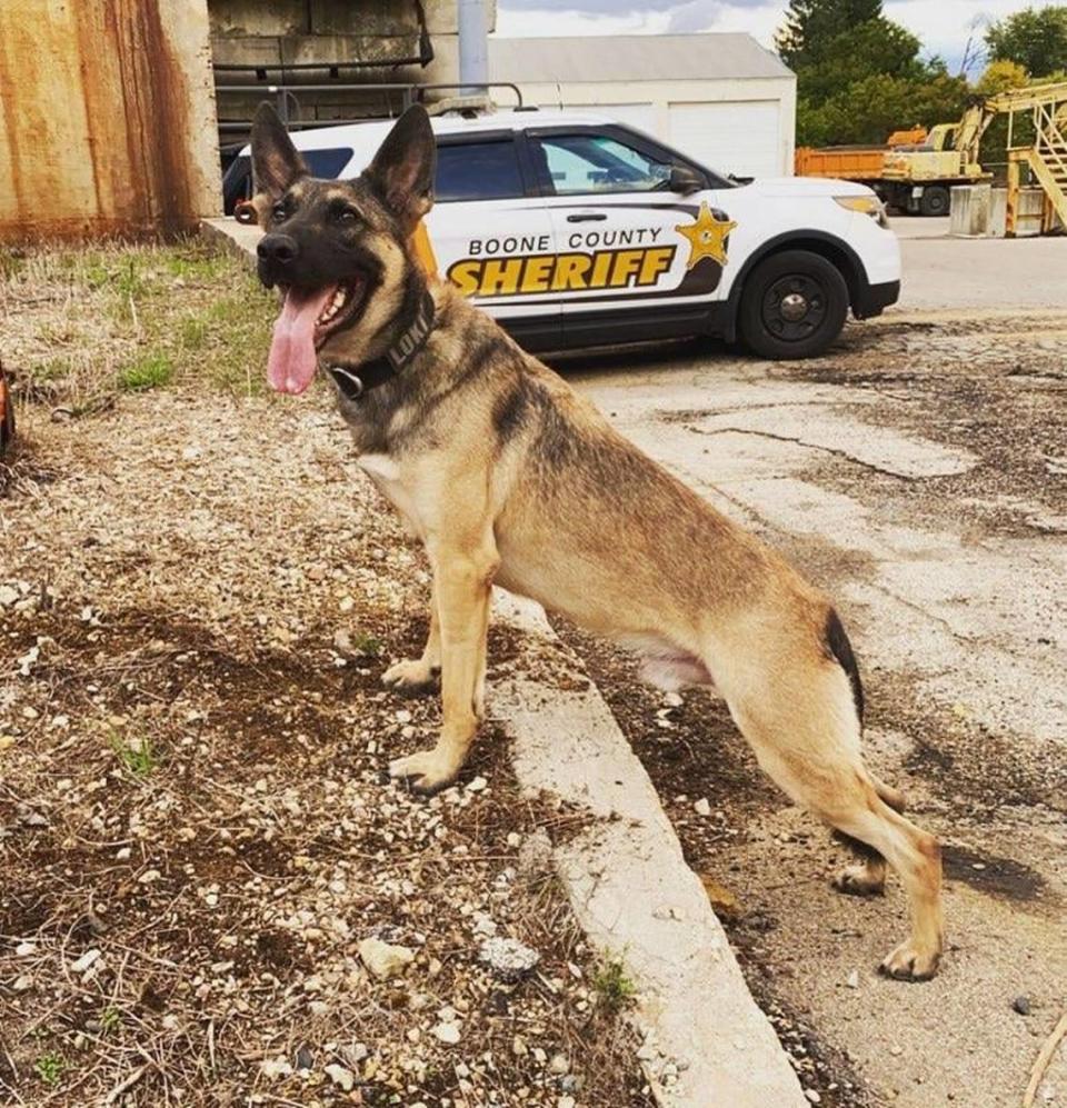 K9 Loki died after an accused drunk limo driver crashed into a stopped police car Sunday, Illinois police say.