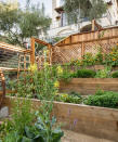 <p> Gardening might have everything to do with land, but that doesn&apos;t mean you need a lot of land to do it. As this outdoor space shows, including a few kitchen garden in your small backyard can be more achievable than you might think.&#xA0; </p> <p> &apos;Many people are gardening on terraces and other small spaces, so a small yard isn&apos;t a problem,&apos; says Dan Bailey, President of WikiLawn Austin Lawn Care. &apos;You just need to maximize space. You can do this by having a garden that grows more vertically rather than sprawling out horizontally. Vertical crops like tomatoes, cucumbers, and peppers work well for this. To save even more space, invest in plant cages so they can have structure and guidance when growing.&apos; </p> <p> For an even more compact version, why not learn how to create a herb garden? Many herb growers simply have pots on the patio or a couple of window boxes for their mini herb gardens.&#xA0; </p> <p> The best part? You get to reap the benefits of your hard work with fresh produce or fresh herbs. </p>