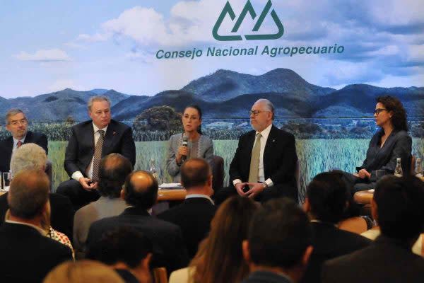 Sheinbaum charló con miembros del Consejo Nacional Agropecuario 