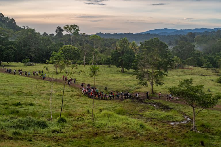 Un grupo de migrantes empieza su caminata en el Darién, la peligrosa selva entre Colombia y Panamá. (Federico Rios/The New York Times)