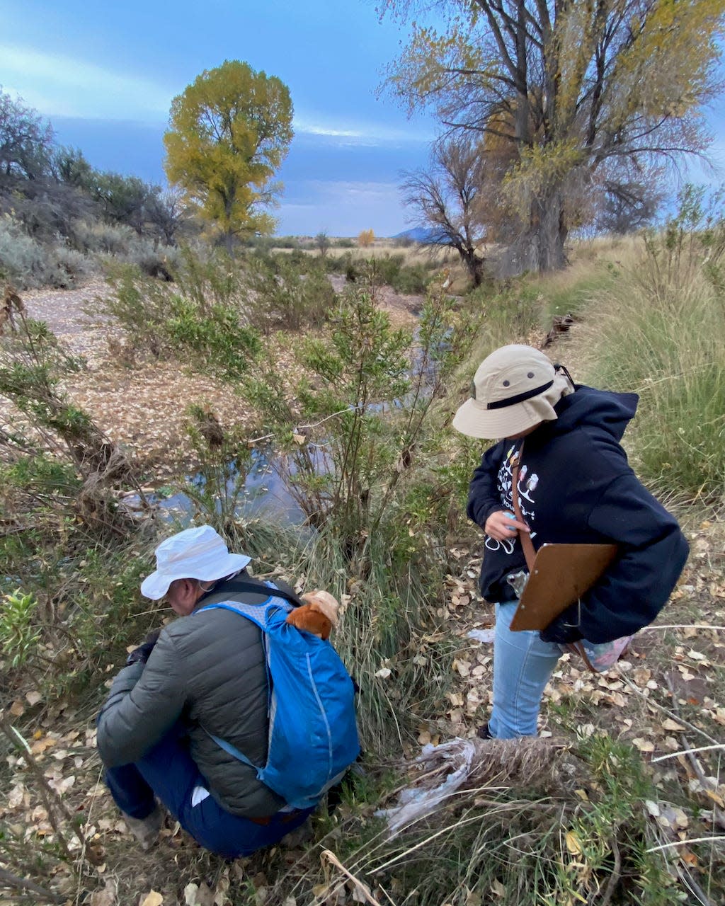 Two volunteers investigate possible beaver activity along a stretch of the San Pedro River.