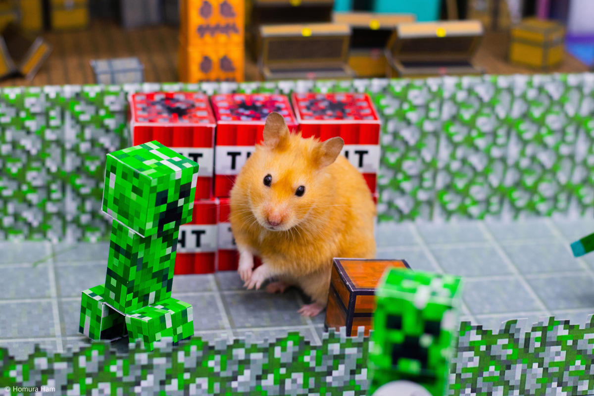 Funny Hamster Tries To Escape Diy Minecraft Maze Game: Full Adventure  Series At Homura Ham Channel