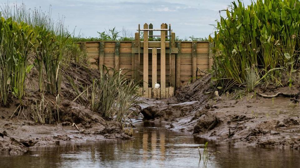 A lock system at Savannah National Wildlife Refuge on Thursday, June 24, 2021. Restoration activities at the refuge have helped manage sea level rise, which has lead to salt water moving further into the marsh.