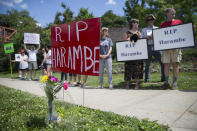 <p>Animal rights activists and mourners gather for a Memorial Day vigil outside the Cincinnati Zoo & Botanical Garden, Monday, May 30, 2016 in Cincinnati for Harambe, the gorilla killed Saturday at the Cincinnati Zoo after a 4-year-old boy slipped into an exhibit and a special zoo response team concluded his life was in danger. There has been an outpouring on social media of people upset about the killing of the member of an endangered species. (AP Photo/John Minchillo) </p>