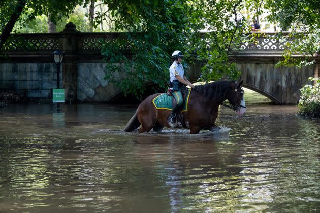 New York City Parks Security Service officers on horseback explore the Greyshot Arch, which is flooded in Central Park after a night of extremely heavy rain caused by Hurricane Ida. (Photo: Alexi J. Rosenfeld via Getty Images)