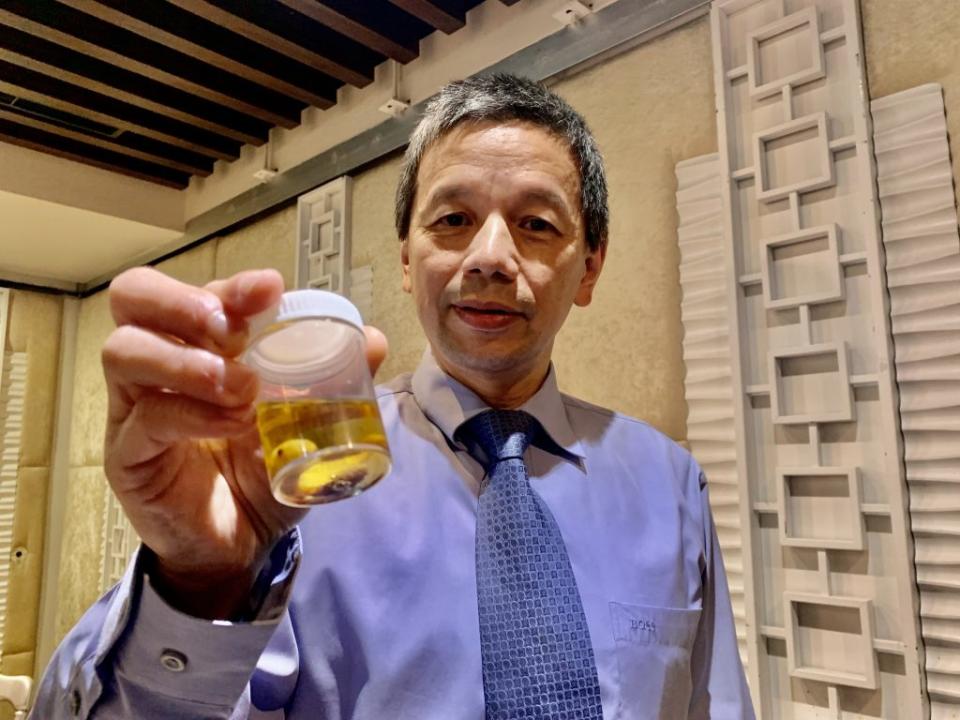 馬偕醫院口腔醫學部主任劉崇基展示馬蠅蟲體。（記者戴淑芳攝）