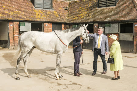 Britain's Queen Elizabeth II with horse Politologue and trainer Paul Nicholls during a visit to Manor Farm Stables in Ditcheat, Britain March 28, 2019. Matt Keeble/Pool via REUTERS