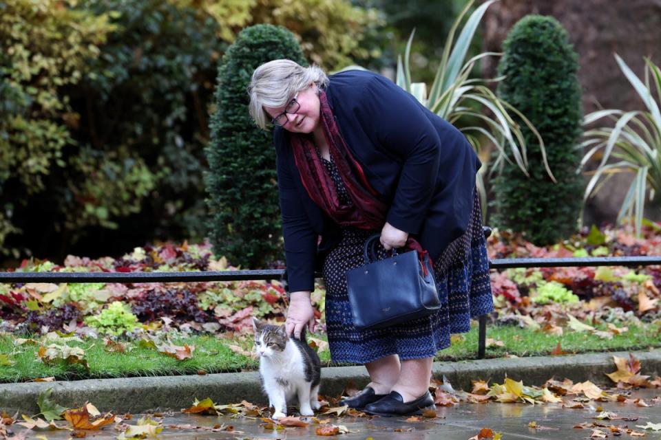 Therese Coffey at Downing Street with Larry the cat, as she prepares to be sacked (REUTERS)