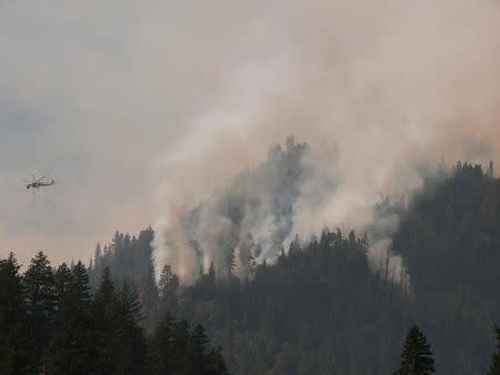 Fire suppression activities are seen at the Happy Camp complex fire in Yosemite National Park, California September 14, 2014. REUTERS/Inciweb/Handout via Reuters