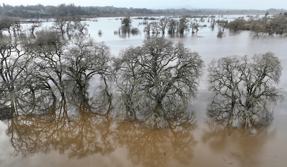 Floodwaters fill fields on Jan. 9, 2023, in Santa Rosa, California.