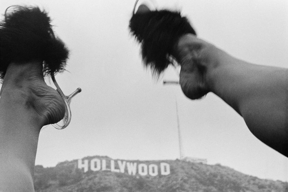 Jean Pagliuso’s In Plain Sight takes on her multifaceted photography career, from fashion to landfowl, and Hollywood in the late 1970s and 80s.