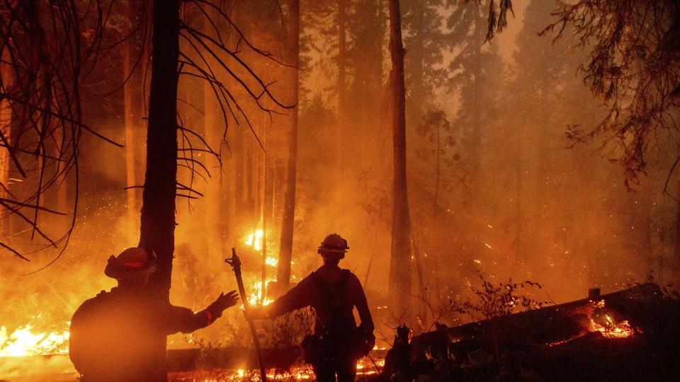 In ganz Kalifornien waren laut Feuerwehr zuletzt mehr als 14.800 Einsatzkräfte damit beschäftigt, 23 größere Brände einzudämmen.