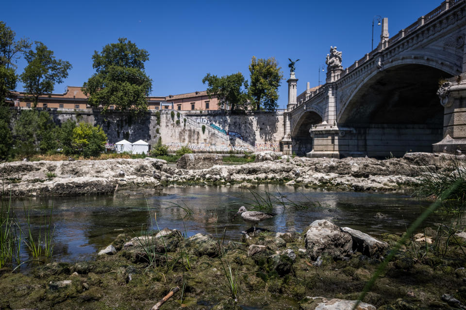 A bird sits on the ruins of the Pons Neronianus, or Bridge of Nero, on the River Tiber in Rome, Italy, July 15, 2022. / Credit: Oliver Weiken/dpa/Getty