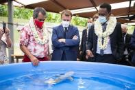 <p>Emmanuel Macron a visité le Centre de recherches insulaires et observatoire de l'environnement (Criobe) à Moorea.</p>