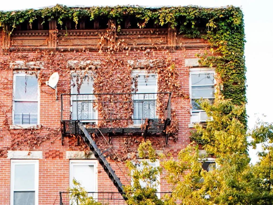 A red brick building in brooklyn with trees in front of it