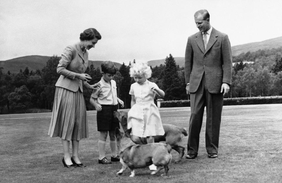 FILE - Queen Elizabeth II and the Duke of Edinburgh, with their children Prince Charles and Princess Anne, play with the Queen's corgi pet, "Sugar," foreground, and the Duke's "Candy" during the royal family's summer holiday at Balmoral castle in Scotland, on August 15, 1955. Queen Elizabeth II's corgis were a key part of her public persona and her death has raised concern over who will care for her beloved dogs. The corgis were always by her side and lived a life of privilege fit for a royal. She owned nearly 30 throughout her life. She is reportedly survived by four dogs. (AP Photo)