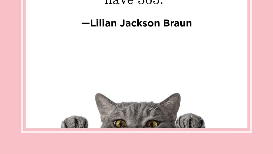 cat quote by lilian jackson braun