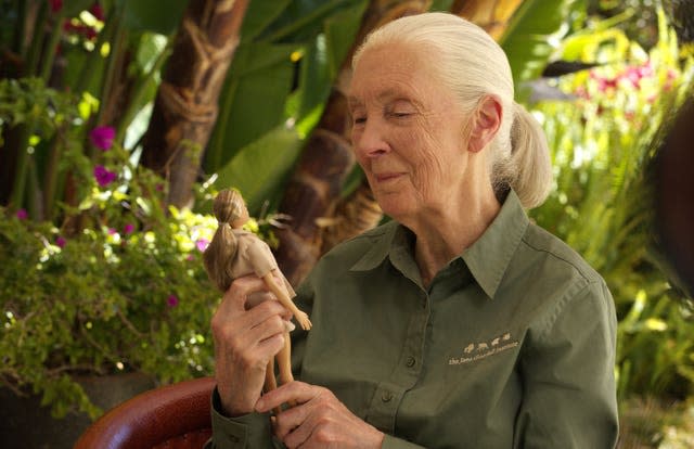 Jane Goodall doll