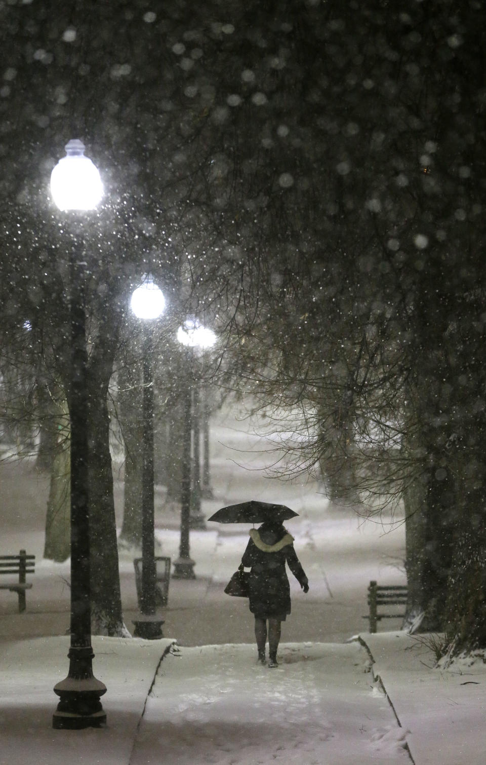 A woman uses an umbrella while walking along a snow-covered path in the Boston Common park, Tuesday, Jan. 21, 2014, in Boston. Heavy snow has been forecast and a blizzard warning was posted for portions of Massachusetts Tuesday, prompting Gov. Deval Patrick to dismiss nonemergency state workers early and postpone his annual State of the State address. (AP Photo/Steven Senne)