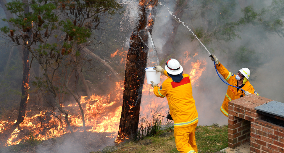 Bushfires in the Blue Mountains were studied by the researchers over a period of two years. Source: Getty