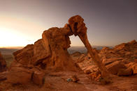 <b>The elephant rock formation in Valley of Fire State Park in Nevada</b> - A strange natural sandstone rock formation resembling an elephant. (Steffen and Alexandra Sailer/Ardea/Caters News)